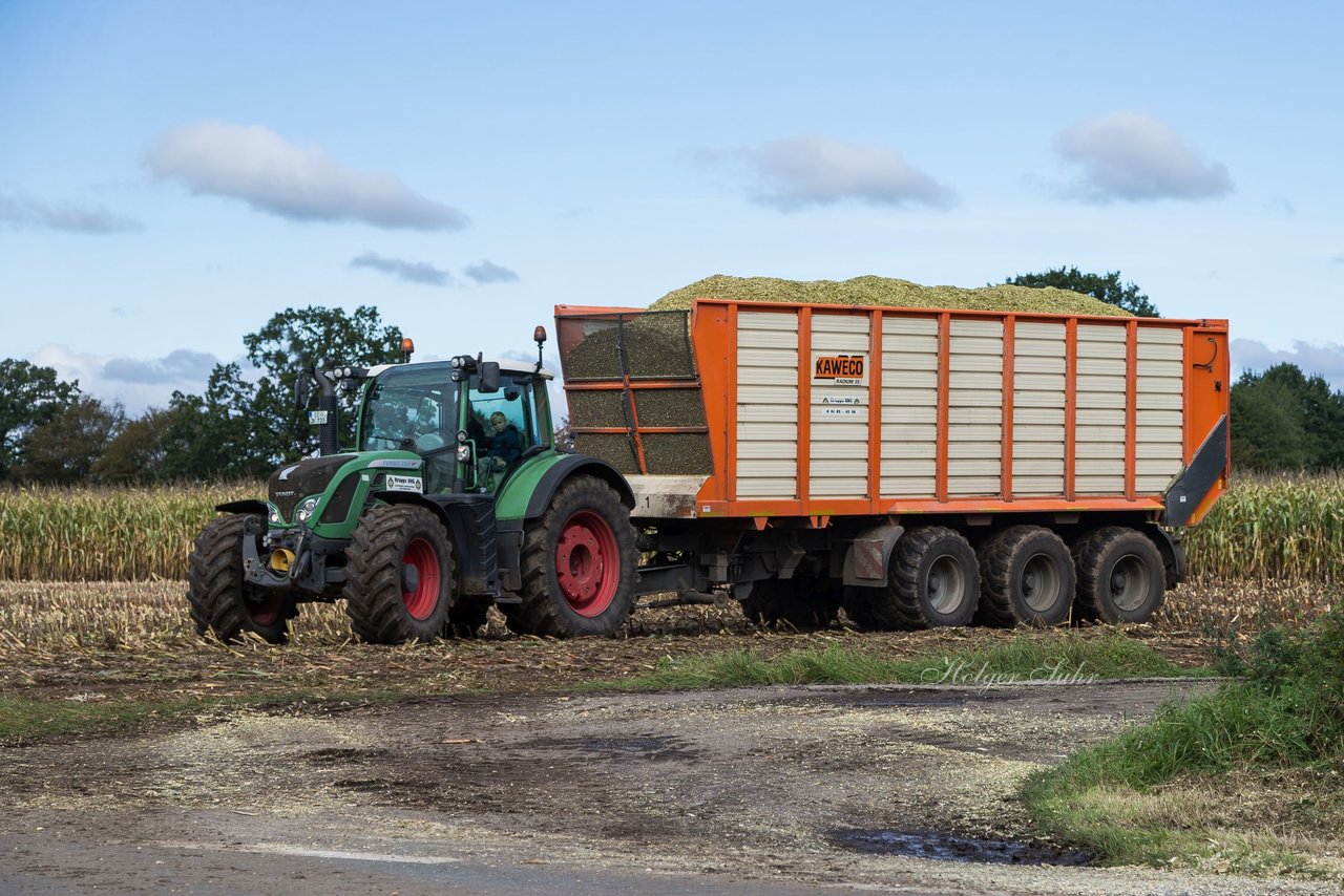 Bild 135 - Maisernte